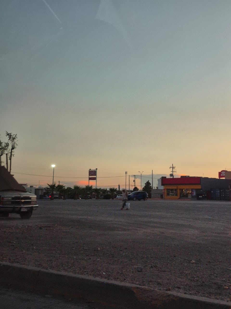 Guía para identificar a un pocho y otras&nbsp;consideraciones